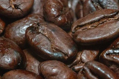 Coffee Beans Macro Stock Photos