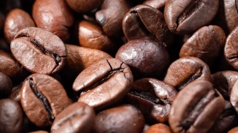 Coffee beans macro shooting movement in the side Vidéo 159645873