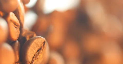Coffee Beans Macro shot Stock Footage 329626030