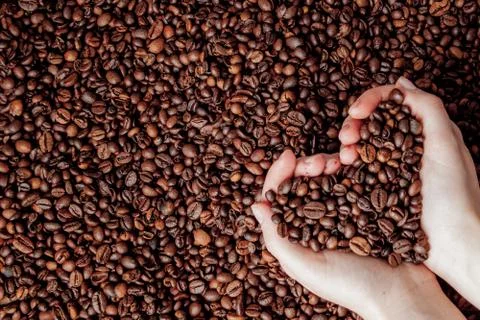 Coffee beans in man palms in form of a heart on coffee background Stock Photos