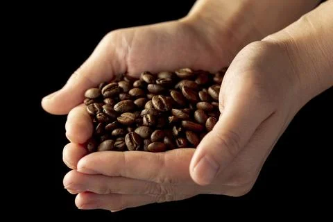 Coffee beans mans hands 스톡 사진