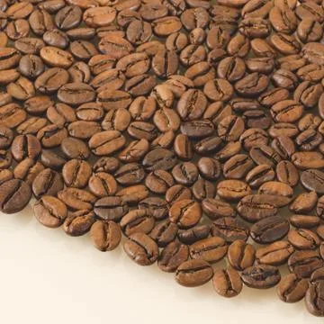 Coffee beans on mat white background Stock Photos