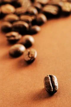 Coffee beans one Stock Photos