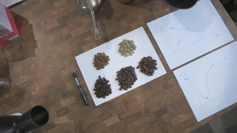 Coffee beans organized in piles next to graphs on paper on modern wooden Stock Footage 240841534