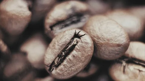 Coffee beans pattern in extreme close-up view with room for text Stock Footage 81801596