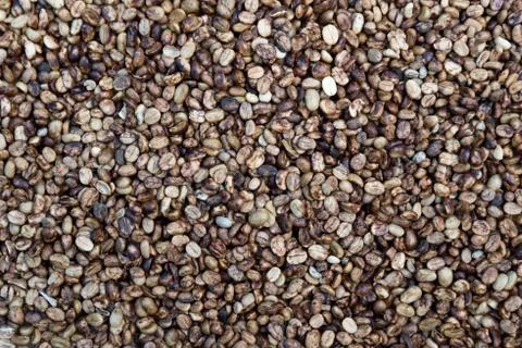 Coffee beans pattern. Stock Photos