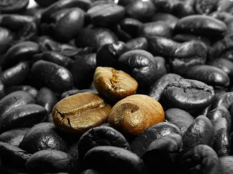 Coffee beans Stock Photos
