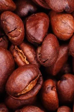 Coffee beans Stock Photos