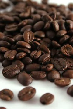 Coffee Beans Stock Photos