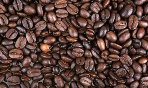 Coffee beans Stock Photos