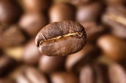 Coffee beans Stock Photos