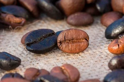 Coffee beans Stock Photos