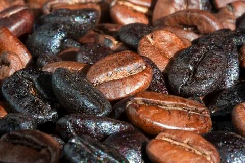 Coffee beans Stock-Fotos