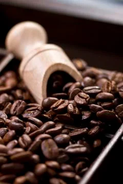 Coffee beans Stock Photos