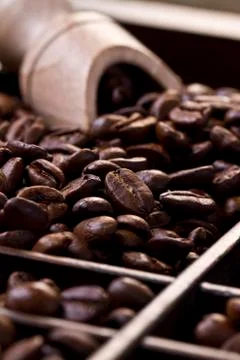Coffee beans Stock-Fotos