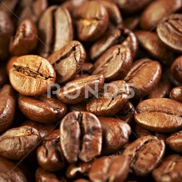 Coffee beans Stock Photos