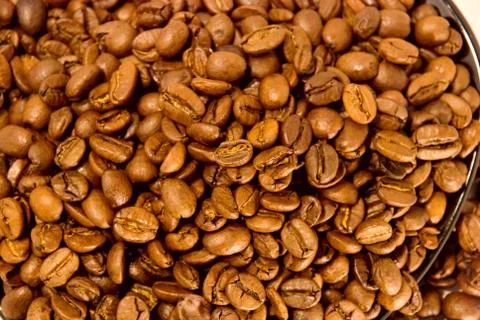 Coffee beans Stock Photos