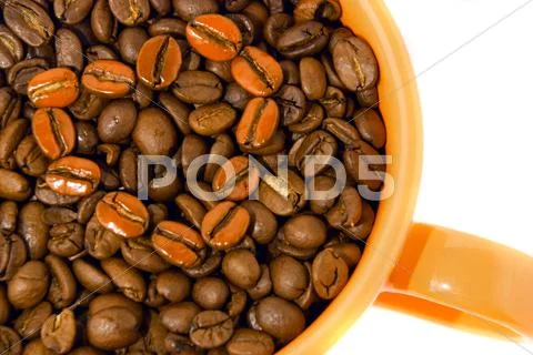 Coffee beans Stock Photos