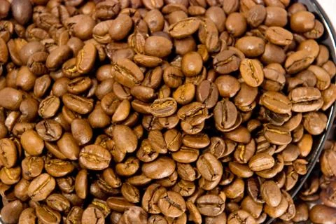 Coffee beans Foto stock
