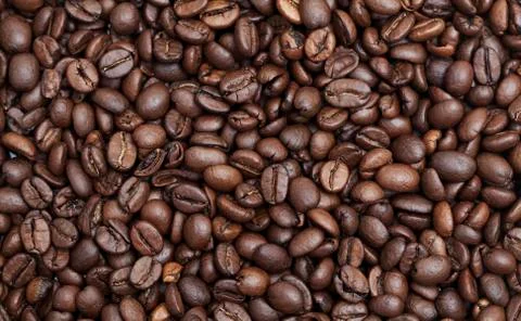 Coffee beans Фото