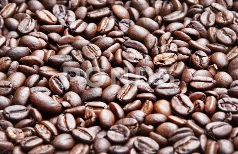 Coffee beans Stock Photos