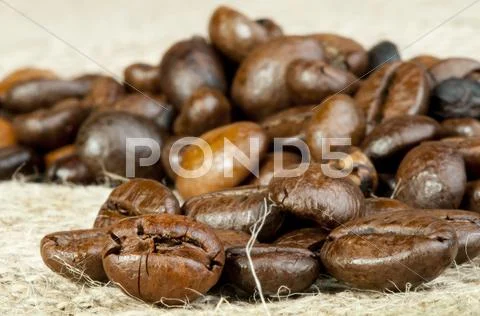 Coffee beans Stock Photos