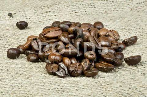 Coffee beans Stock Photos