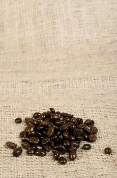 Coffee beans Stock Photos