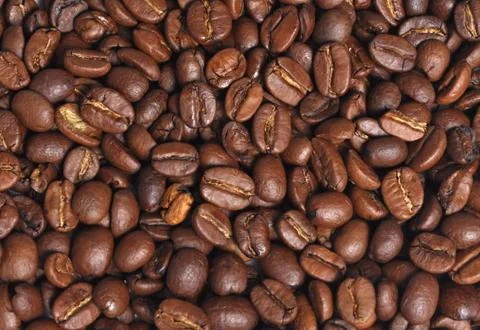 Coffee beans Stock Photos