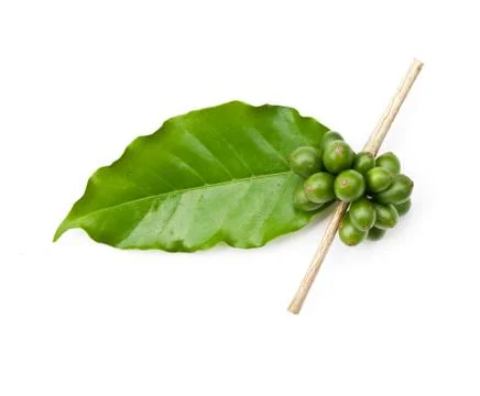 Coffee beans. Stock Photos