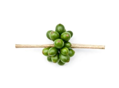 Coffee beans. Stock Photos