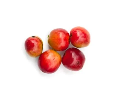 Coffee beans. 写真素材