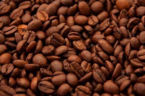 Coffee beans 写真素材