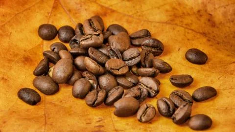 Coffee beans Stock Photos