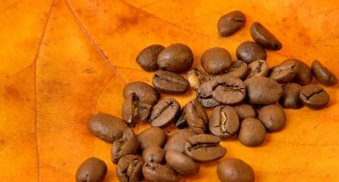 Coffee beans Stock Photos