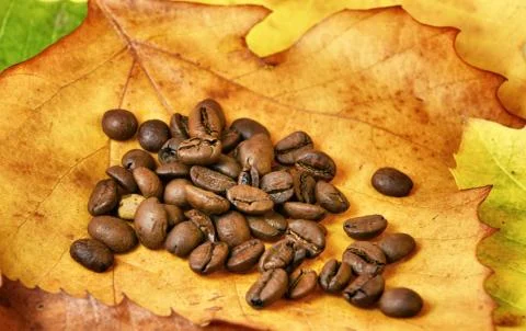 Coffee beans Stock Photos