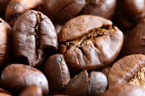 Coffee beans Stock Photos