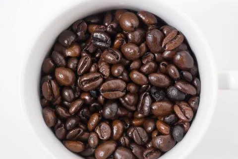 Coffee beans 写真素材