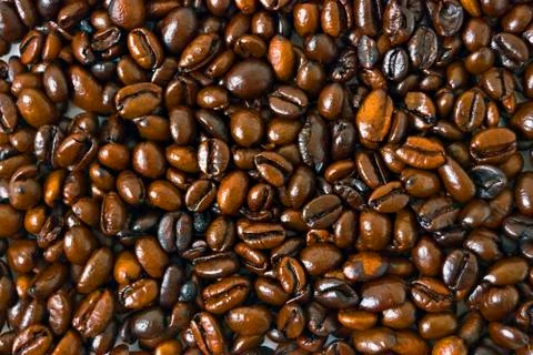 Coffee beans Stock Photos