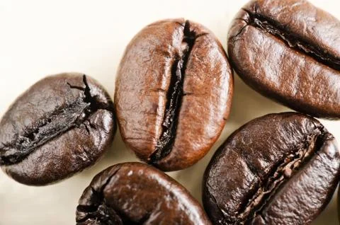 Coffee beans Stock Photos