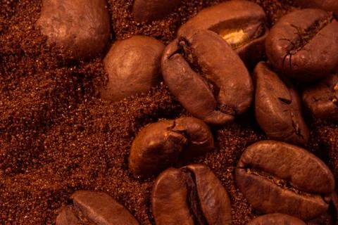 Coffee beans Stock Photos