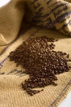 Coffee beans Stock Photos