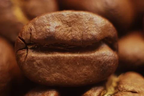 Coffee beans Stock Photos