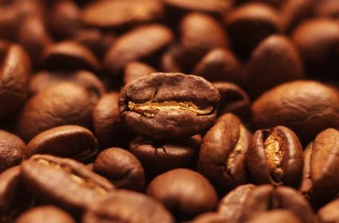 Coffee beans Stock Photos