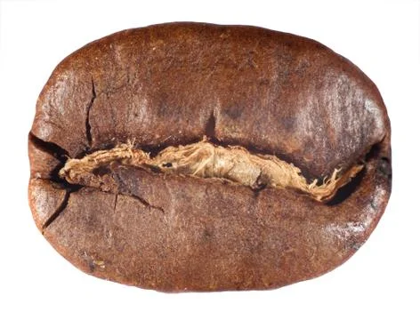 Coffee beans Foto stock