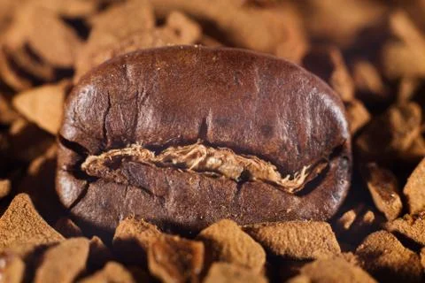 Coffee beans 스톡 사진