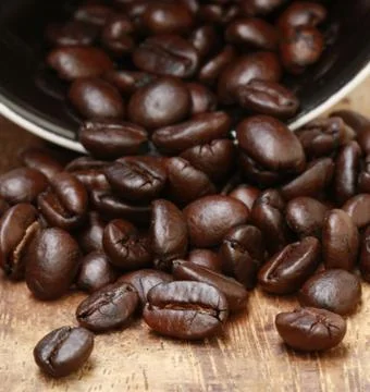 Coffee beans Stock Photos