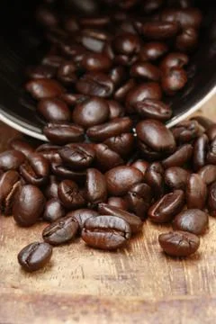 Coffee beans Stock Photos