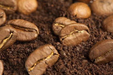 Coffee beans Stock Photos