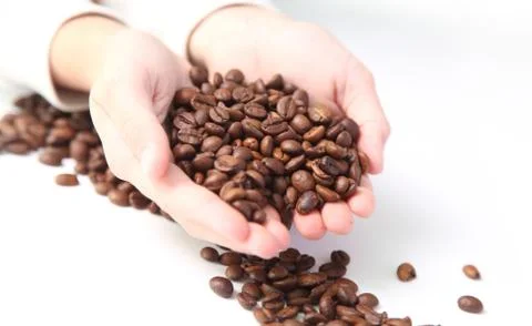 Coffee beans Stock Photos